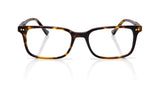 82 Tokyo tortoise front
